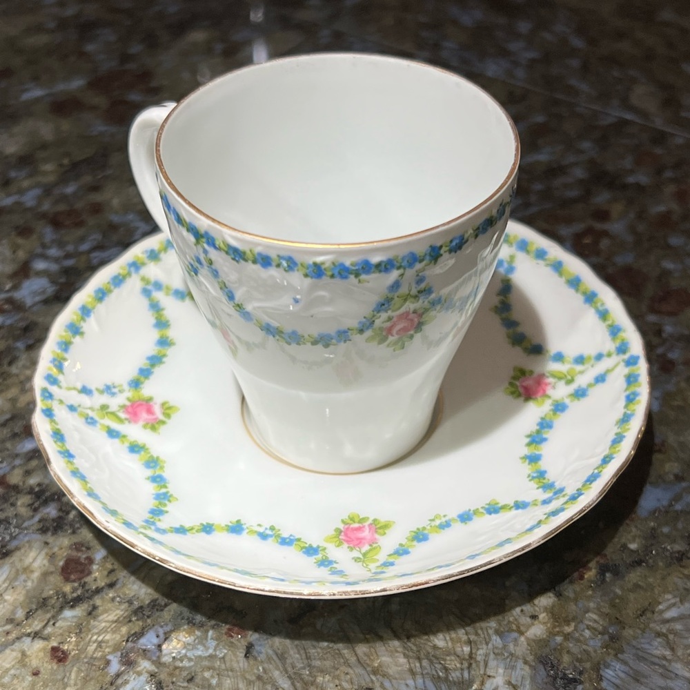 Vintage Altrohla Austria Enamel Flower Porcelain Tea Cup & Saucer collectible
